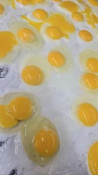 Lots of Sunny Side Up Fried Eggs Cooking at the grill Together For Breakfas.. Stock Photos