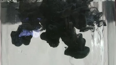Lots of thick black ink falling down in clear water in aquarium Stock Footage 291106315