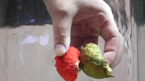 Lots of thick black ink falling down in clear water on a light background Stock Footage 291107657