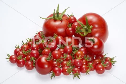 Lots of tomatoes Stock Photos