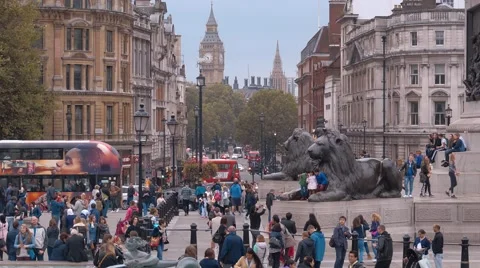 Lots of tourists at Trafalgar Square in London Westminster Stock Footage