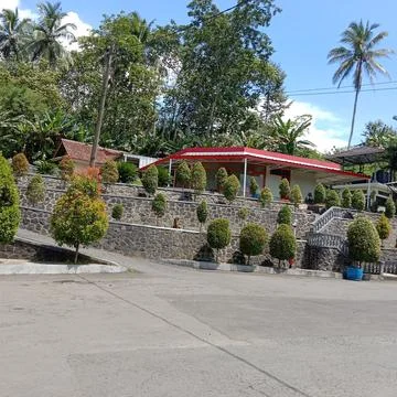 Lots of trees Stock Photos