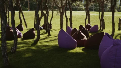 Lots of upholstered seating on the lawn in the park recreation area Video stock 344753896