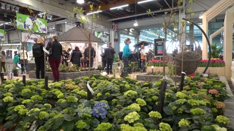 Lots of visitors at the Spring Fair Spring Garden Stock Footage 178482897