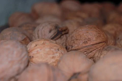 Lots of walnuts on the shelf Foto stock