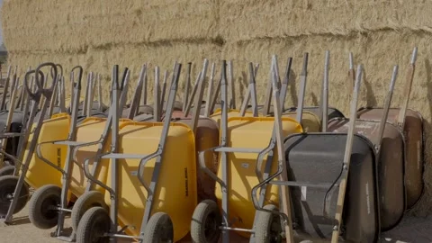 Lots of wheel barrels in pumpkin patch Stock Footage 287643564