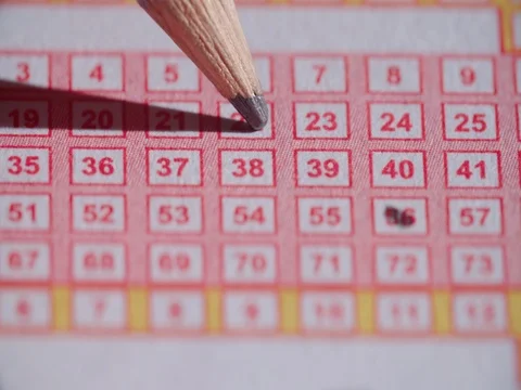 Lotto Ticket Pencil in Numbers Down Close Up Stock Footage 78582697