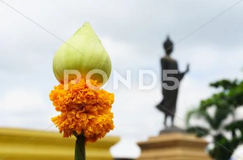 Lotus and marigold for worship. Stock Photos