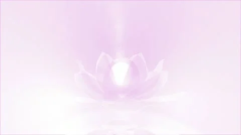 Lotus Background Video stock 10894631