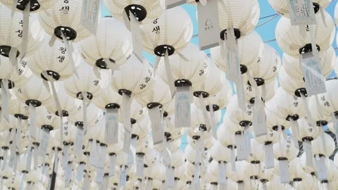 Lotus Balloons 스톡 동영상 79867623