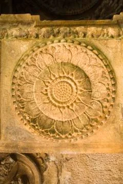 Lotus Bloom on Stone Stock Photos