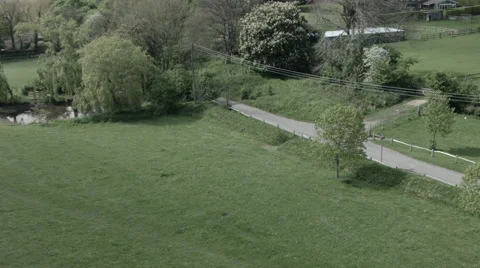 Lotus colour 2 Video stock 52272444