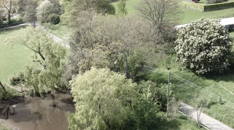 Lotus colour 3 Stock Footage 52273237