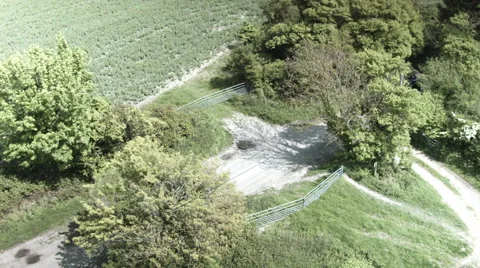 Lotus colour Stock Footage 52273879