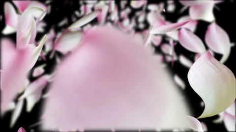 Lotus falling on black. Stock Footage 92744580