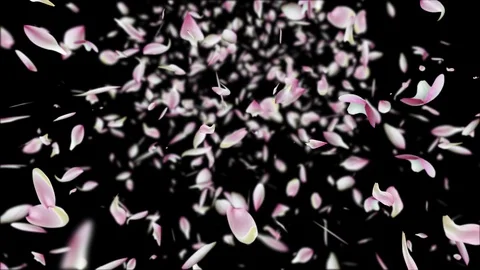 Lotus falling design2 black Stock Footage 92686588