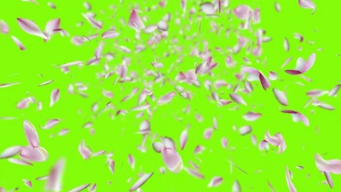 Lotus falling design2 green Stock Footage 92686998