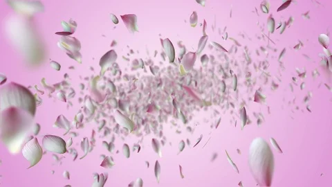Lotus falling design3 pink Stock Footage 92688332