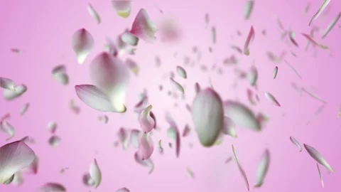 Lotus falling design4 pink Stock Footage 92690536