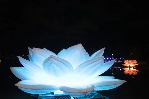 Lotus Floating in Water Stock Photos