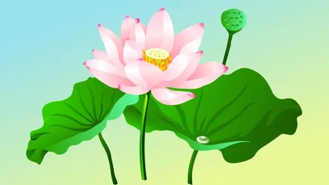 lotus flower background and 2d animation... | Stock Video | Pond5