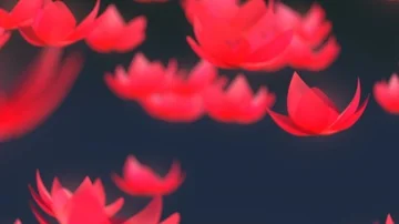 Lotus flower falling animation	 Stock Footage 86118800