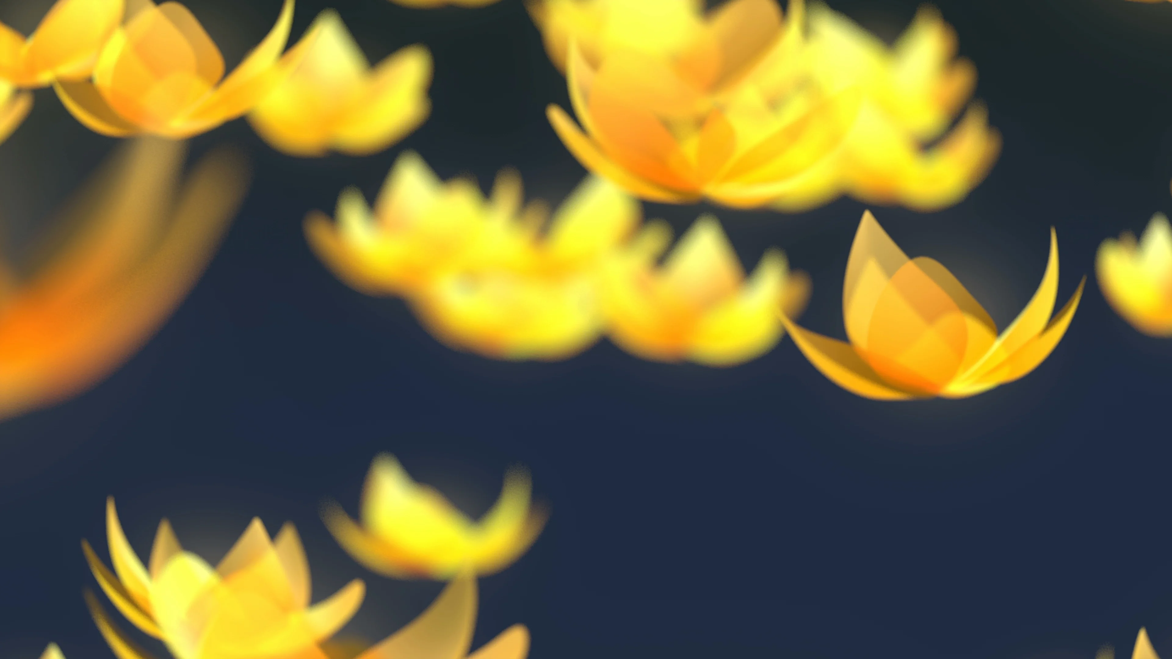 lotus animation