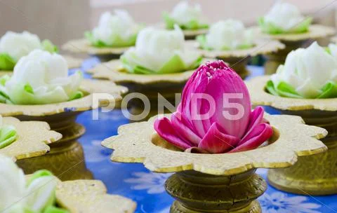 Lotus flower garlands on tray Stock Photos