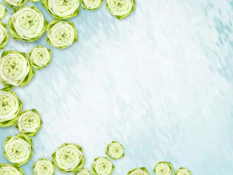 Lotus flower Stock Illustration