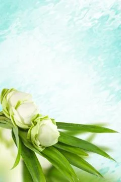 Lotus flower Stock Illustration