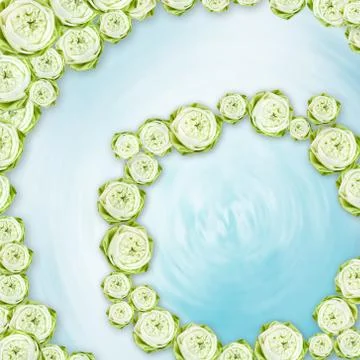 Lotus flower Stock Illustration