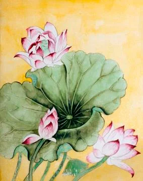 Lotus flower Stock Illustration