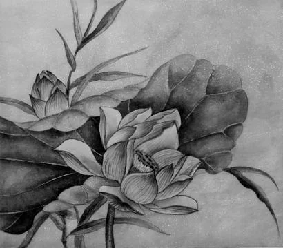 Lotus flower Stock Illustration