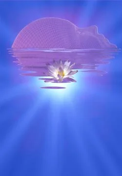 Lotus flower Stock Illustration