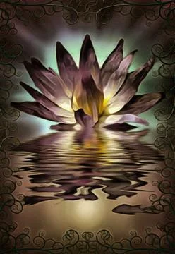 Lotus flower Stock Illustration