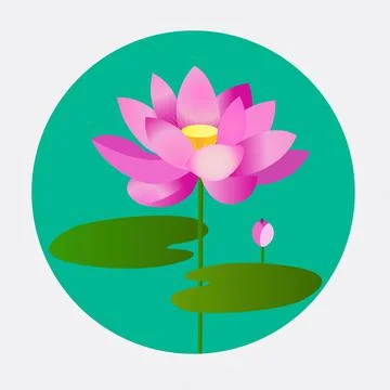Lotus flower Illustrazione stock