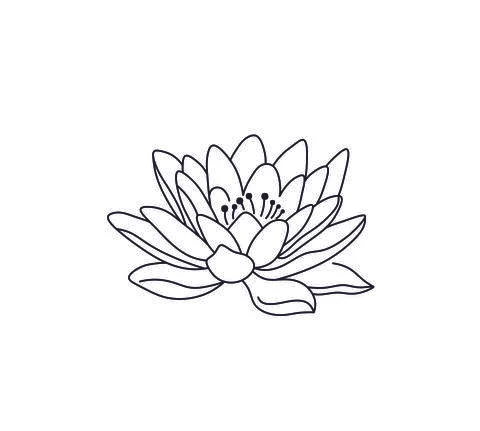 Lotus flower Stock Illustration