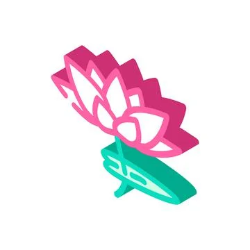 Lotus flower isometric icon vector illustration Illustrazione stock