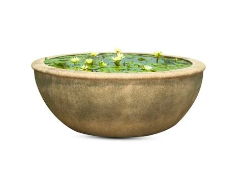 Lotus flower Stock Photos
