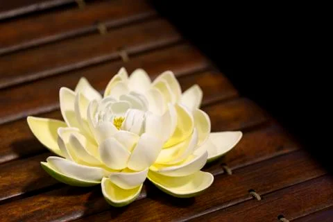 Lotus flower Photos