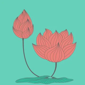 Lotus flower vector.. Stock Illustration