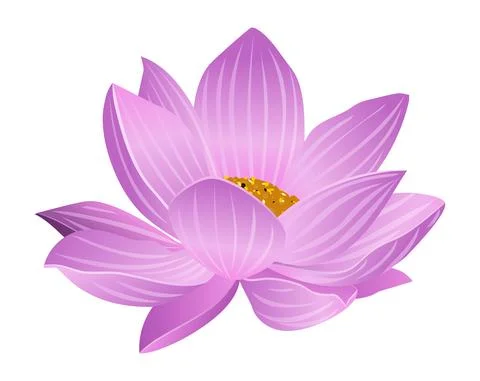 Lotus flower vector Stock Illustration