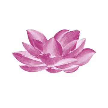 Lotus flower vector illustration Stock Illustration