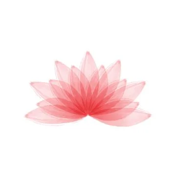 Lotus flower vector illustration Illustrazione stock
