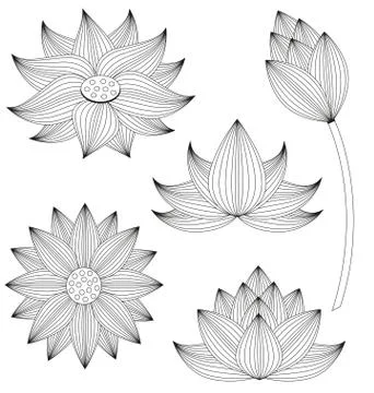 Lotus flower vector set on white background Stock Illustration