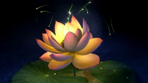 Lotus flowering process holographic 3d animation video Stock Footage