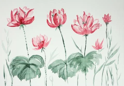 Lotus flowers. Stock Illustration