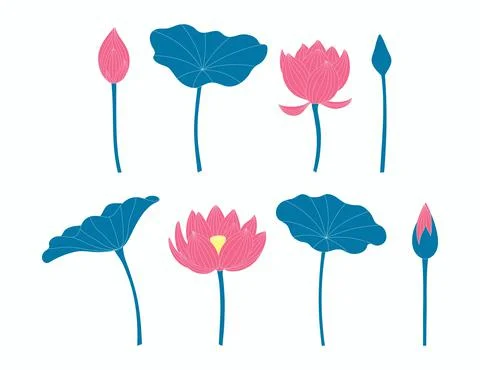 Lotus flowers, leaves design elements collection Stock Illustration