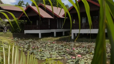 Lotus Stock Footage 112426452