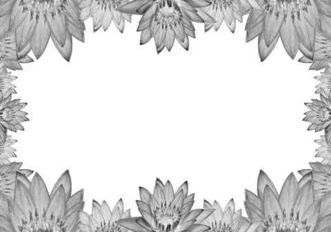 Lotus frame Stock-Illustration